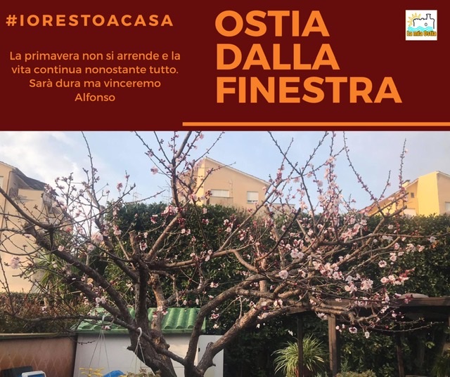 Ostia dalla finestra: mese di marzo